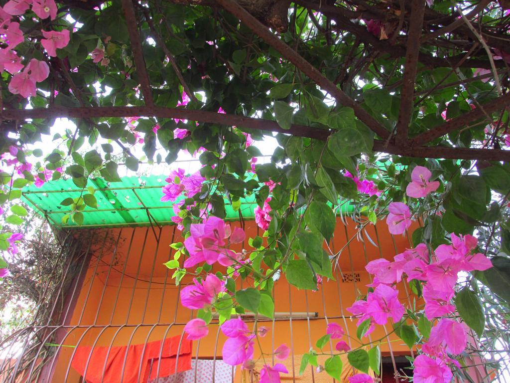 Pubali Homestay Bolpur Buitenkant foto